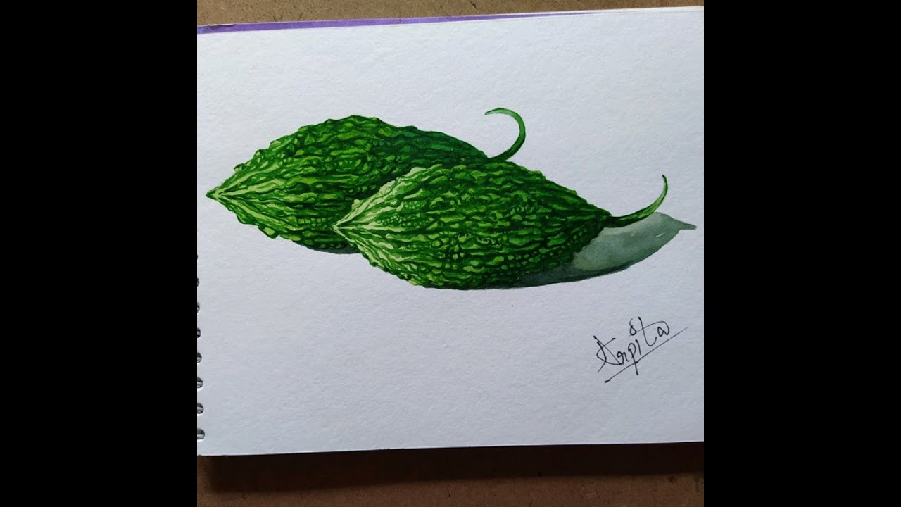 How to draw bitter gourd step by step easy|learn watercolor easily