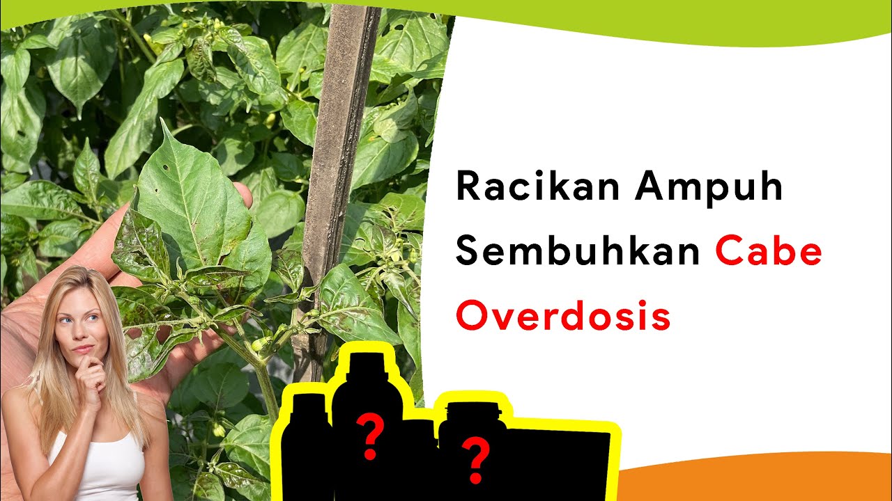 Overdosis Pestisida dan Pupuk! Cara dan Racikan Penyembuhnya