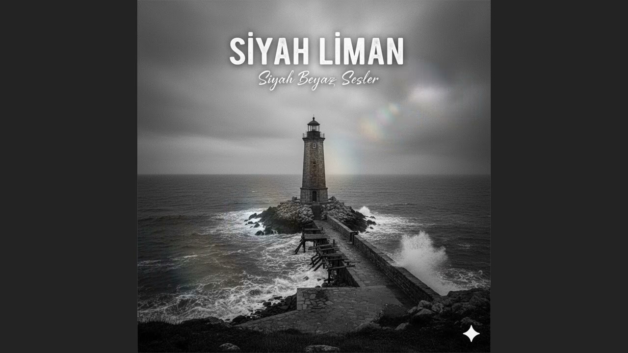 Siyah Beyaz Sesler - Siyah Liman