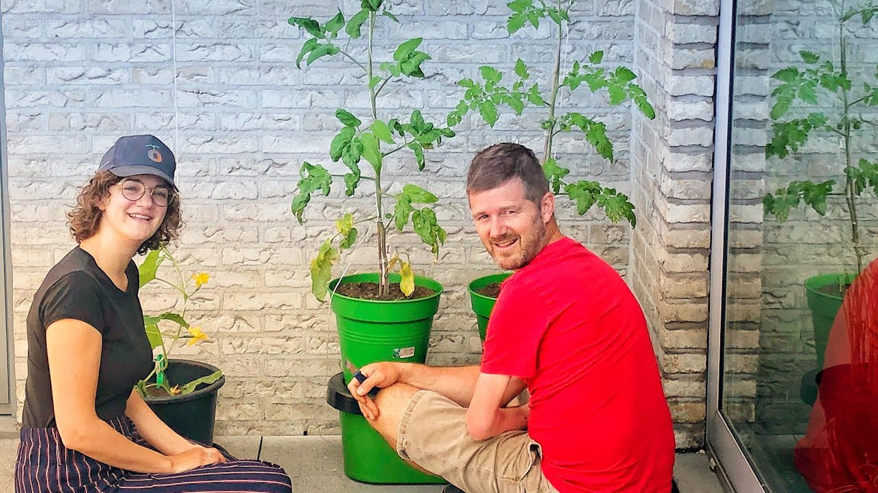TM21#24 : Groenten kweken in potten op het terras DEEL 2