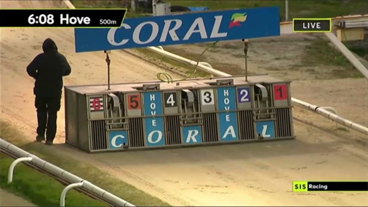 Carreras de Galgos - Hove 2022 🇬🇧 SIS