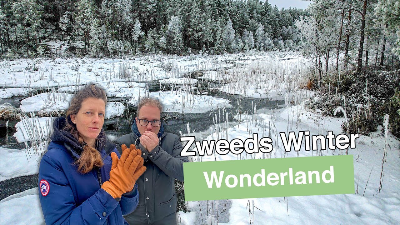 Emigreren naar Zweden || Zweeds Winter Wonderland en ons vakantiehuisje. Vlog 6