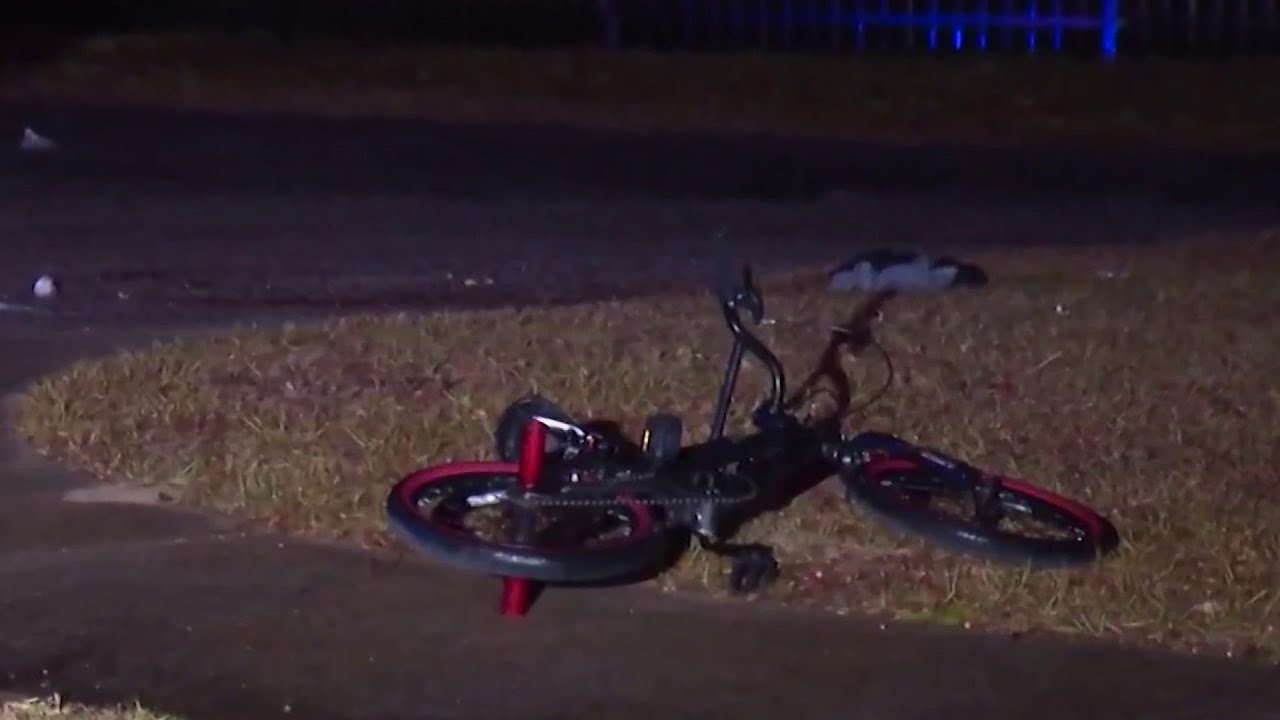 8-year-old  killed in Volusia County dog attack