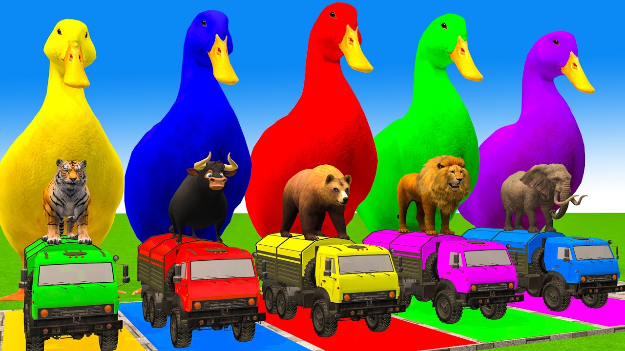 5 Giant Duck Cartoon,Cow,Elephant,Tiger,Lion,Dinosaur,Paint Wild Animals Crossing Fountain Animation