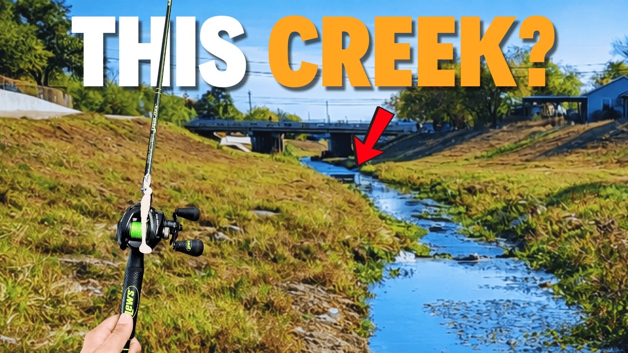 Can This Creek Win A Tournament? (Bank Tournament Redemption)