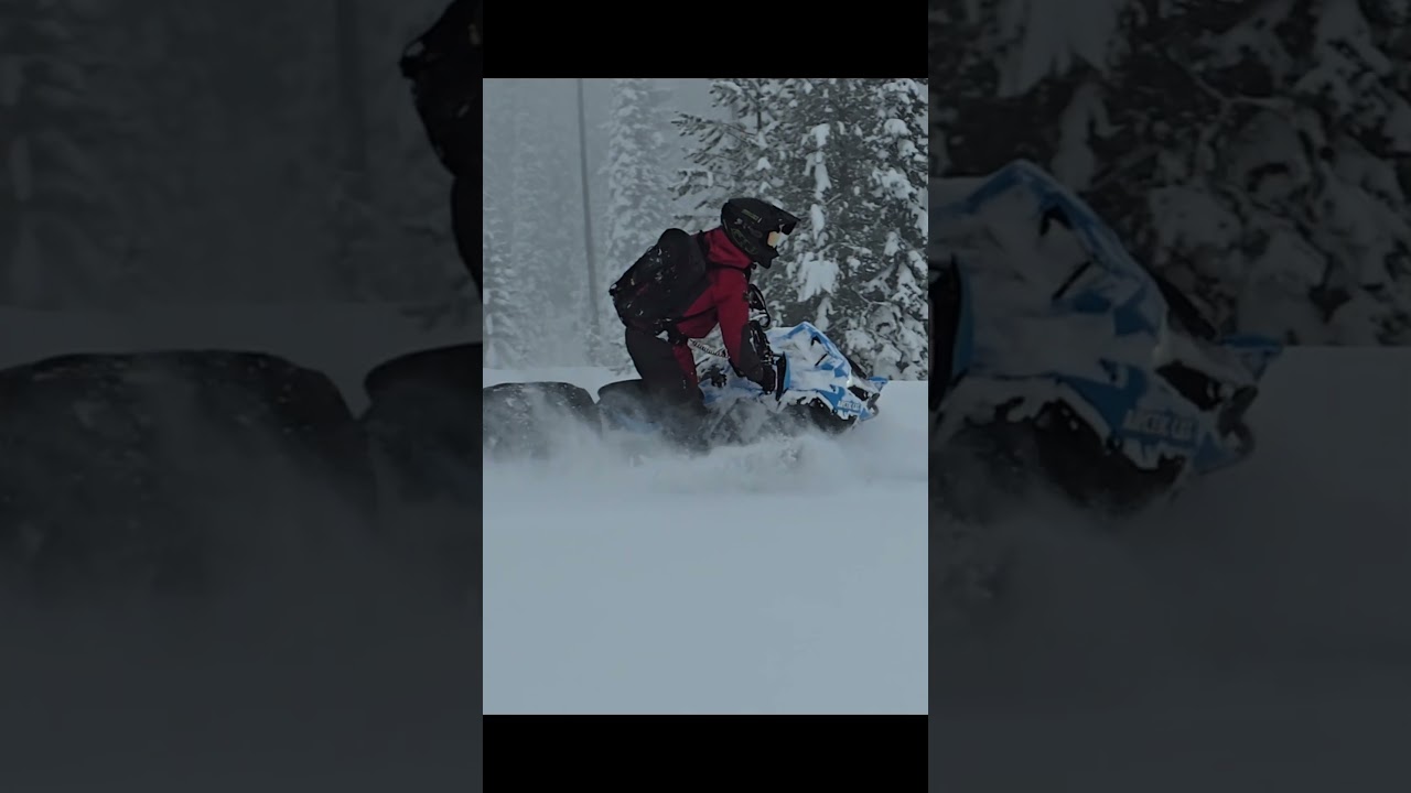 This sled is so effortless its unreal! 