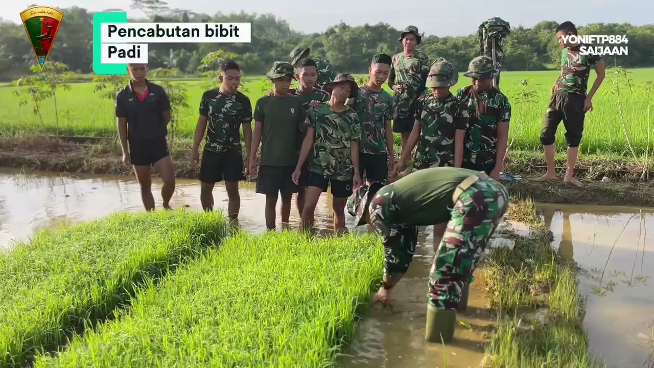 KETAHANAN PANGAN KOMPI PERTANIAN YONIF TP 884/ SA-IJAAN