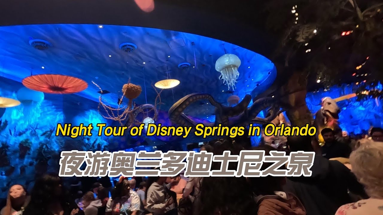 夜游奥兰多迪士尼之泉Night Tour Disney Springs in Orlando
