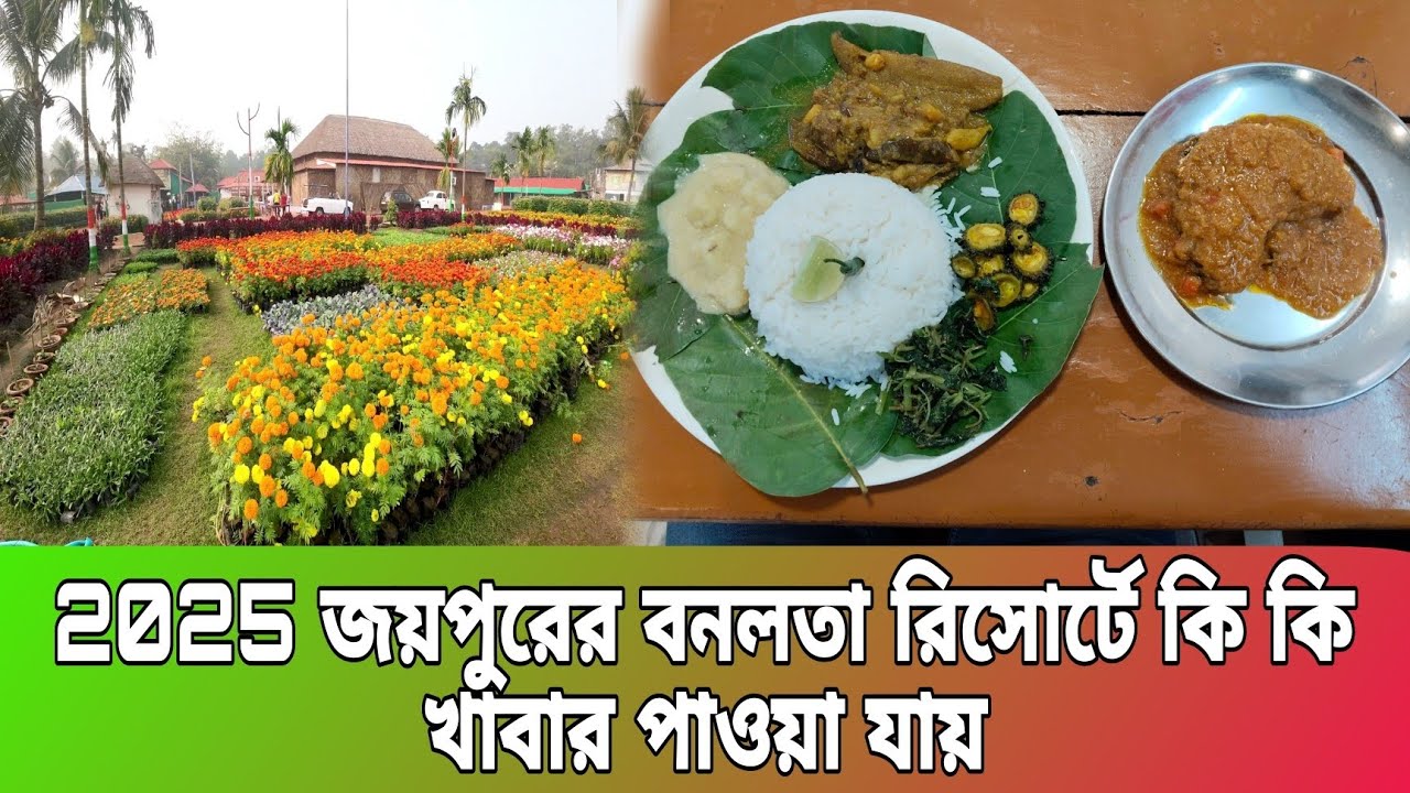 banalata  resort joypur forest কি কি খাবার পাওয়া যায় | banalata resort food menu | food vlog
