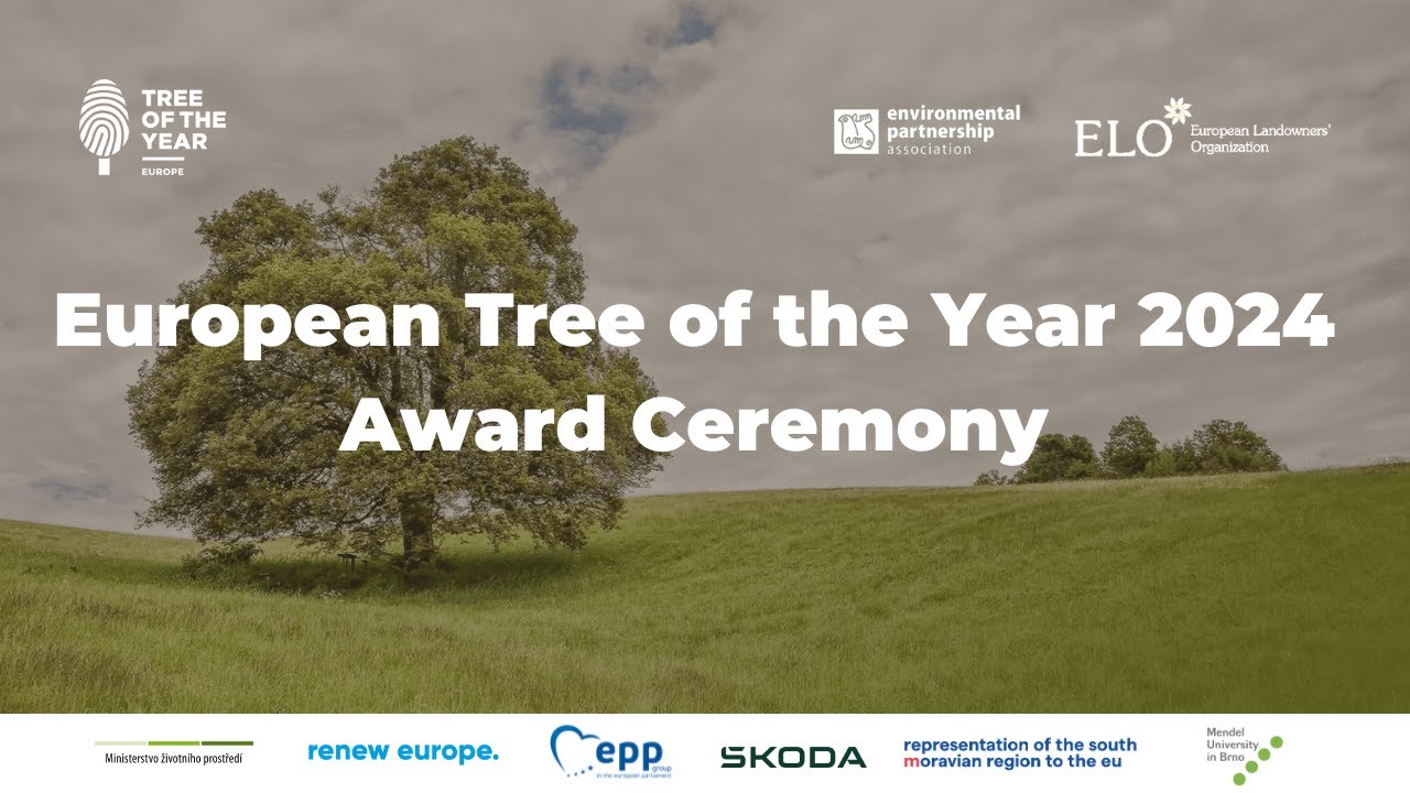 European Tree of the Year 2024 Award Ceremony &ndash; 20. 03. 2024