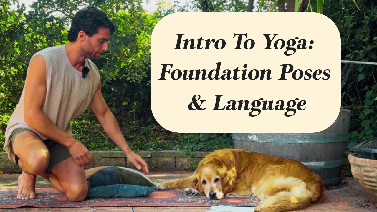 Introduction To Yoga: Foundation Poses & Language