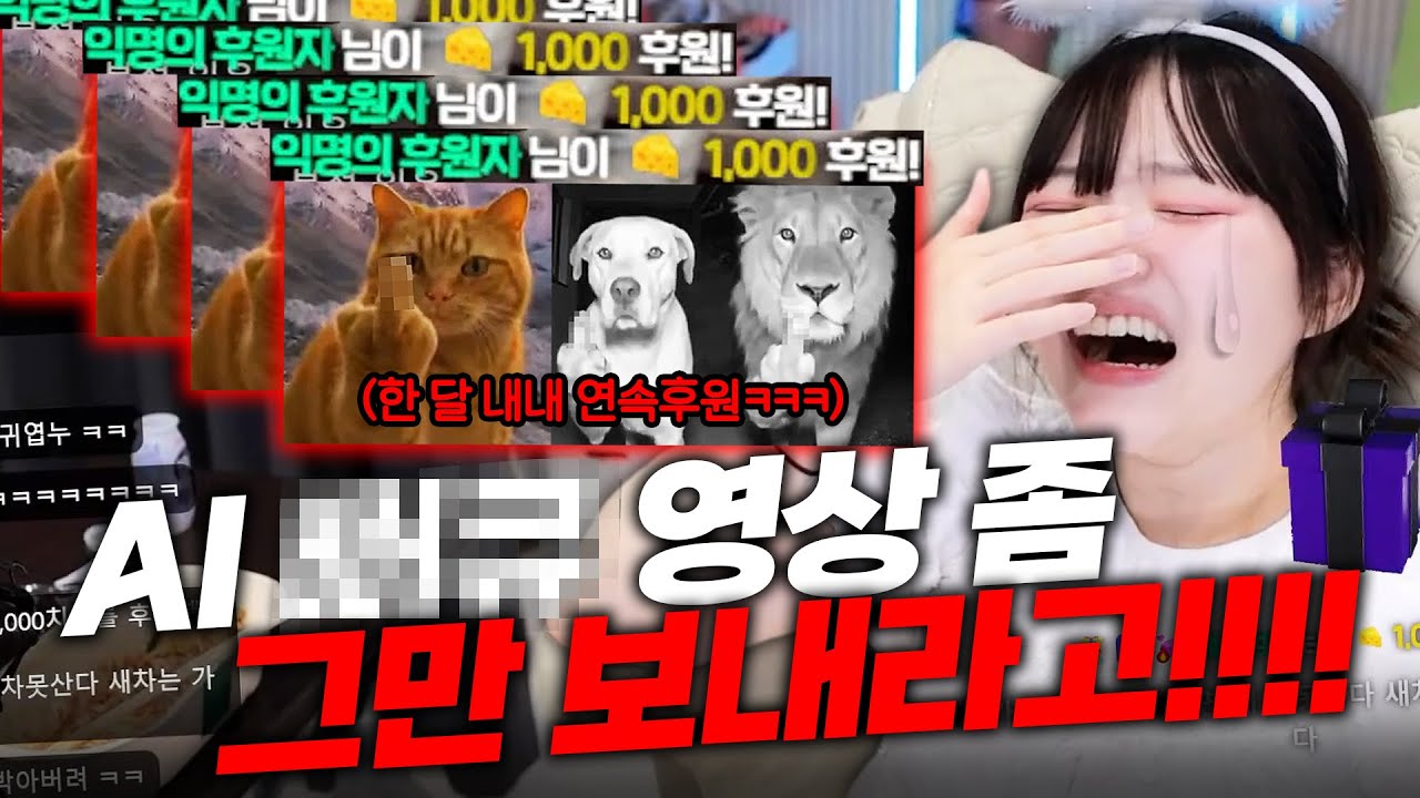 한달 내내 ai 법규 후원으로 괴롭히기ㅋㅋㅋㅋ