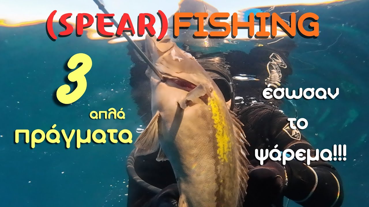 3 simple🔱 things saved 🤿 the fishing day! 🐠 3 απλά πράγματα έσωσαν το ψάρεμα! #spearfishing #fishing