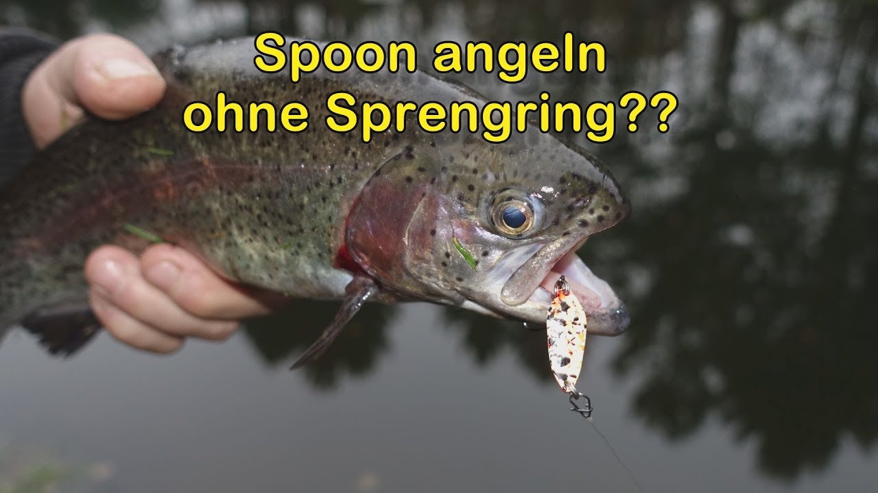 Spoon angeln ohne Sprengring??