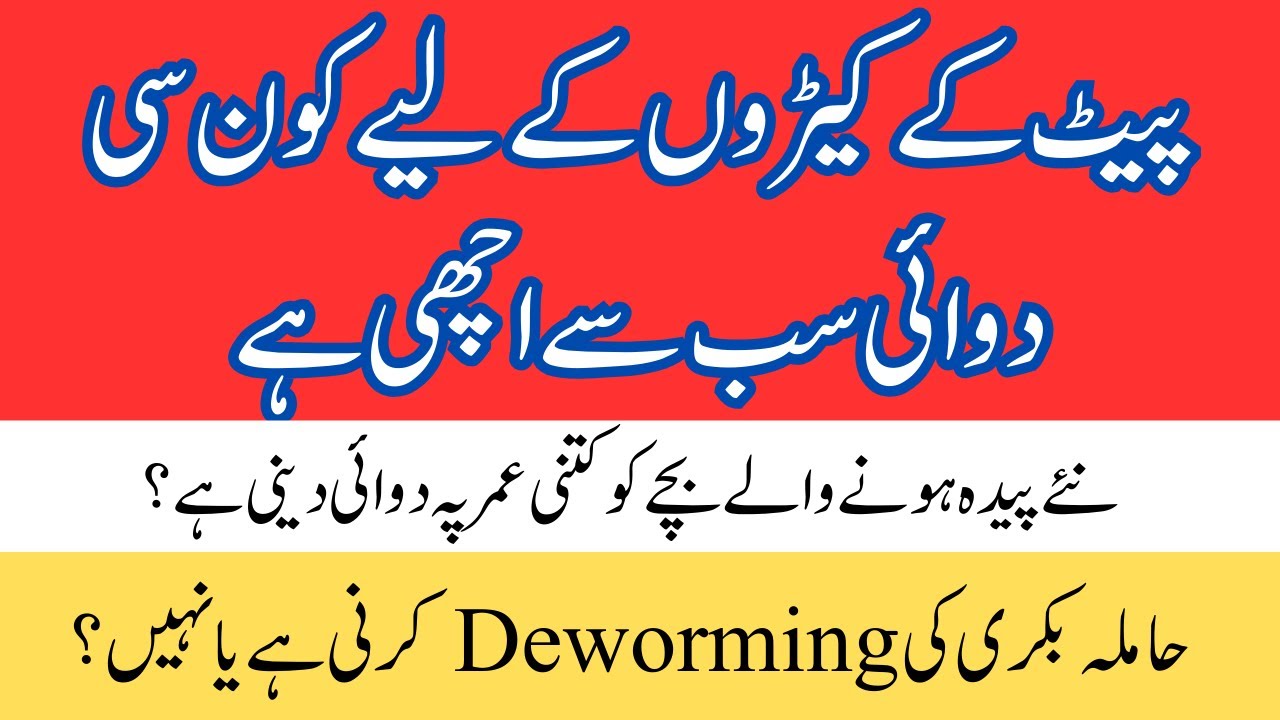 پیٹ کے کیڑوں کے لیے کون سی دوائی سب سے اچھی ہے؟