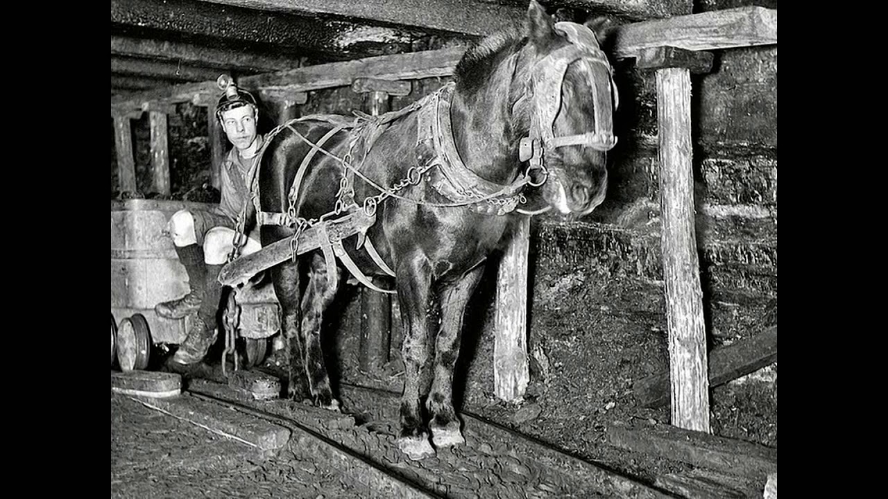 Chevaux et Mineurs dans le Nord et Ailleurs