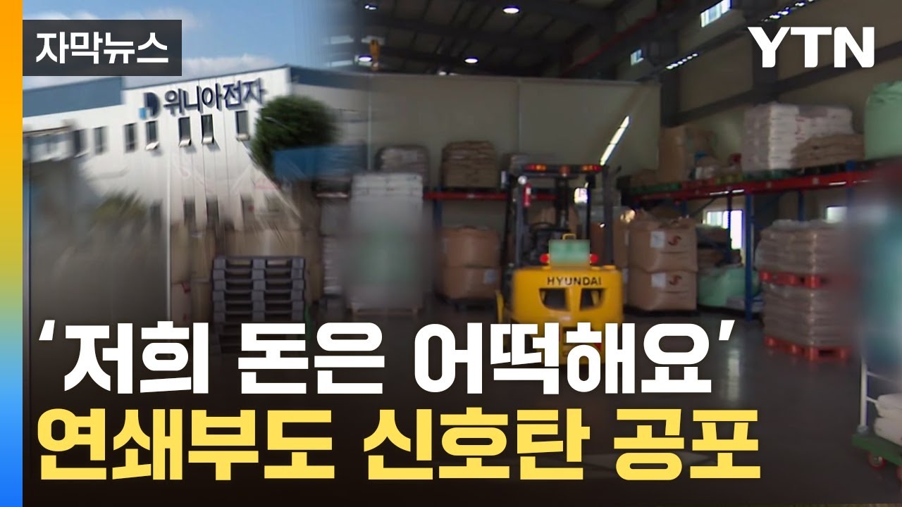 [자막뉴스] '딤채' 신화의 몰락...450여 곳 연쇄 부도 위기 / YTN