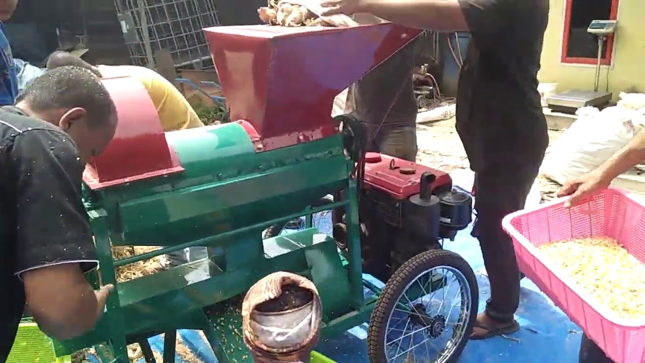 Mesin pemipil jagung berkelobot type M-10 (tanpa kupas kulit).
