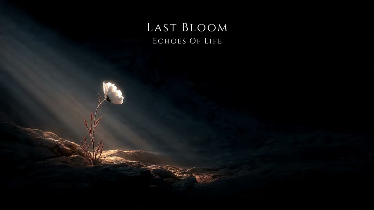 Last Bloom | Dark & Melancholic Celtic Music for Deep Reflection & Melancholy