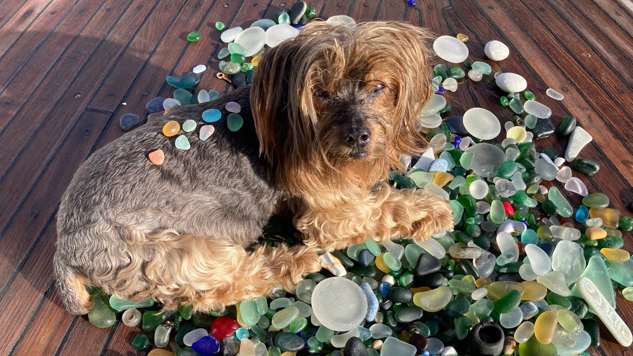 В поисках эпической достопримечательности и редких цветов на Pirate Glass Beach в Кюрасао