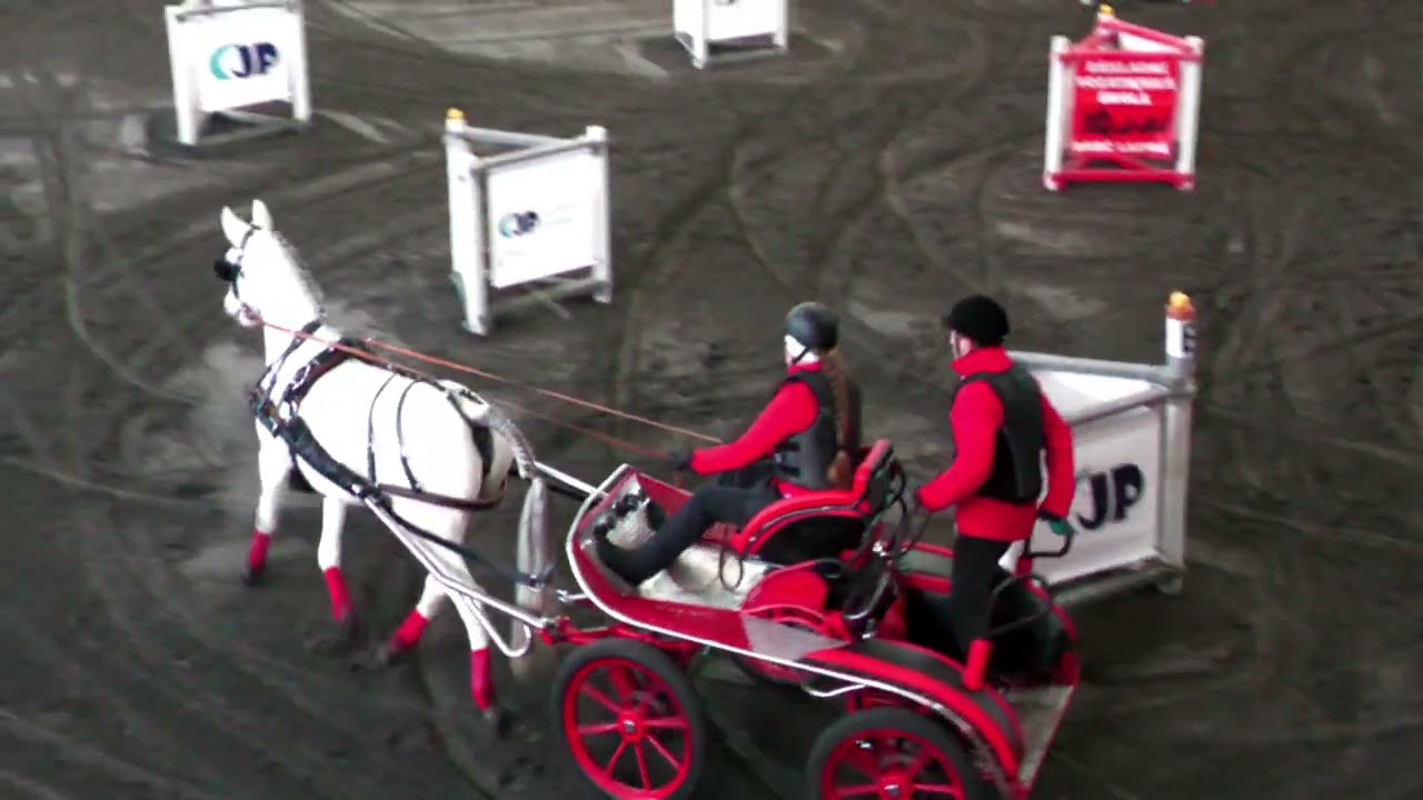 Jednospřeží – Zimní jezdecký pohár – Hradištko, 31. 1. 2026