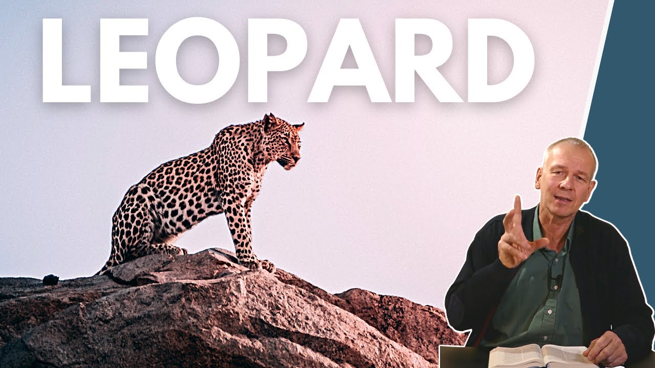 Tiere der Bibel - Der Leopard || Stefan Drüeke