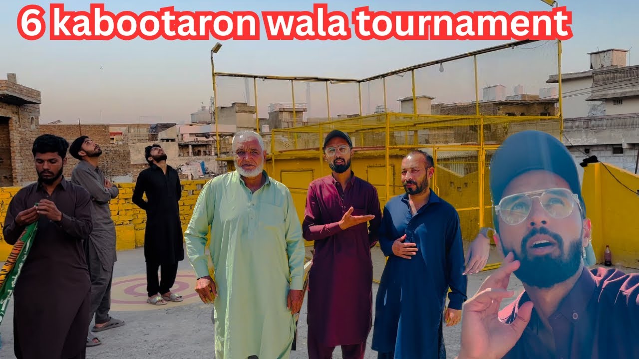 6 kabootaro wala tournament 😱 | Dar pigeons club | #kabuterbazi #pigeon #kabootar