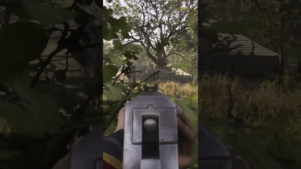 Over there somewhere, oh! hello! | 