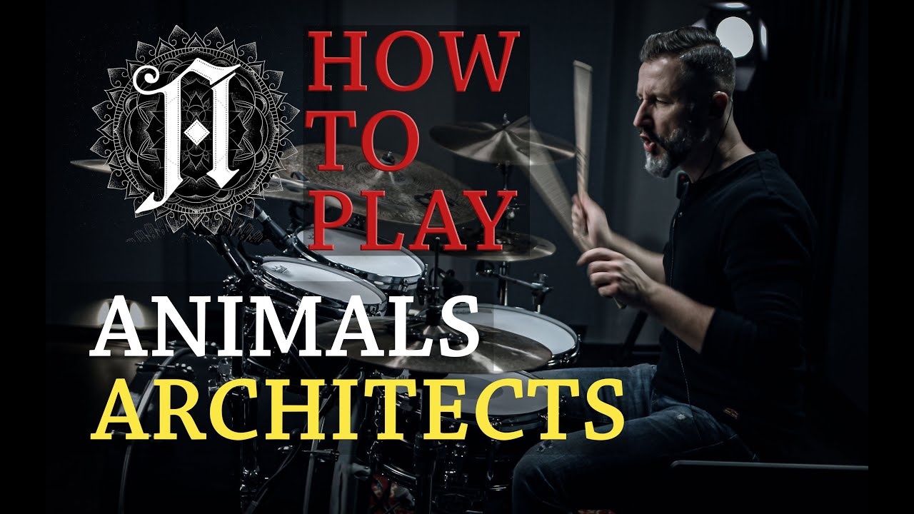 How To Play Animals from Architects On The Drums