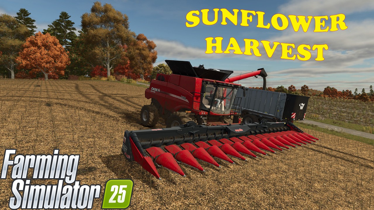 Chambergo Ep 64  FARM SIM 25  October harvesting