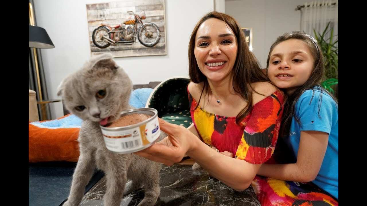 HAMİLE KEDİMİZ TARÇIN'IN BEBEK SAYISINI ÖĞRENİYORUZ! PAMUK'U ZİYATERE GİTTİK