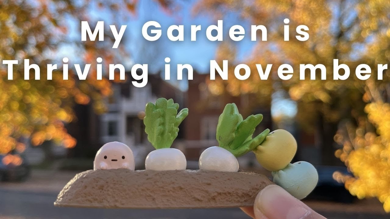 My Garden is Thriving in November