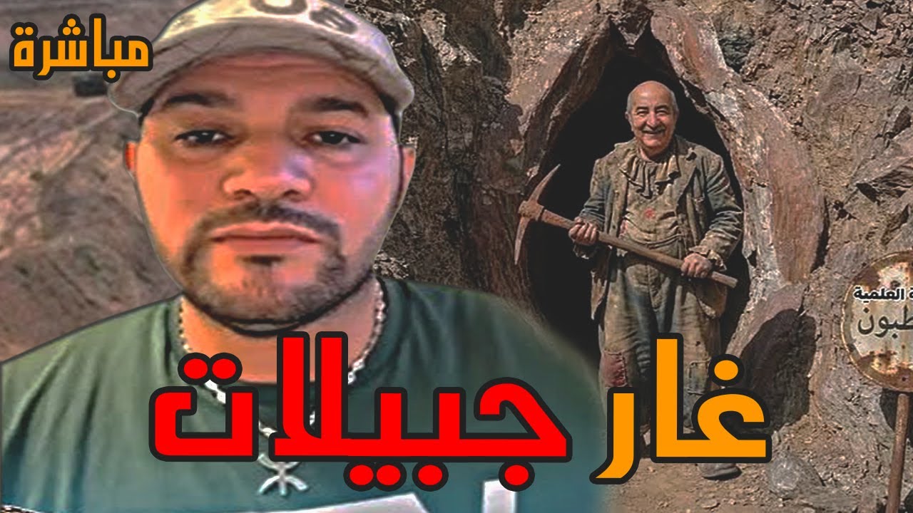 AMIR DZ 04/02/2025