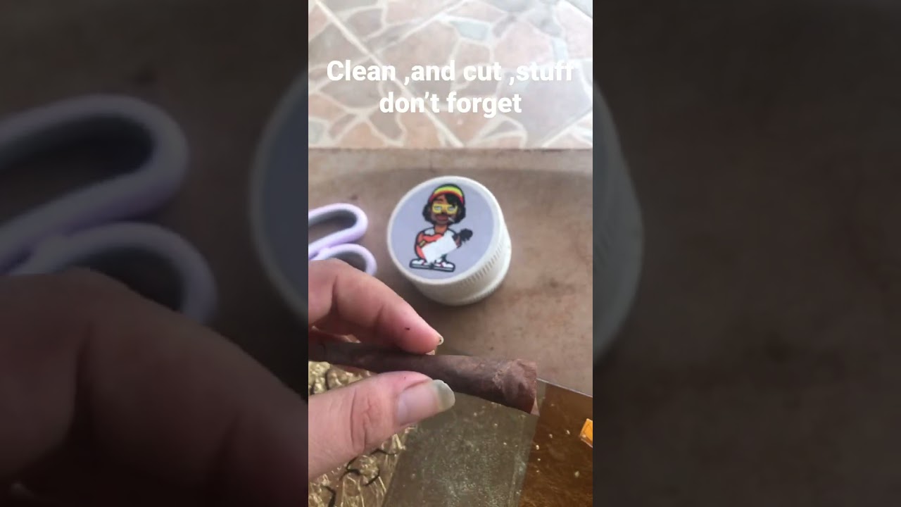 Swisher leaf