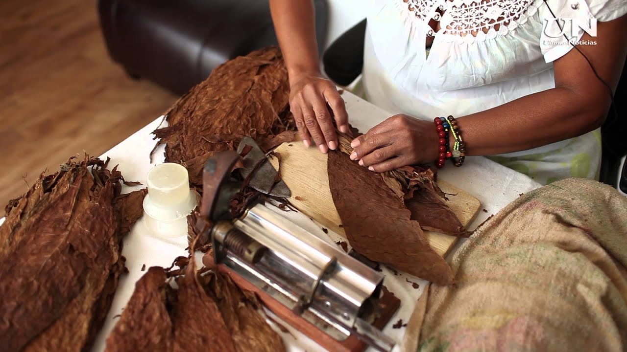 Papayapedia: &iquest;C&oacute;mo se hace un tabaco a la manera cubana?