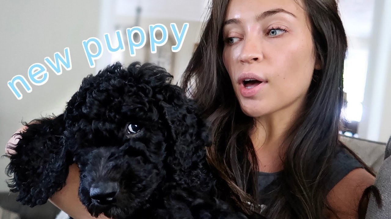 we gotta new puppy!? the DB method + zucchini boats: vlog
