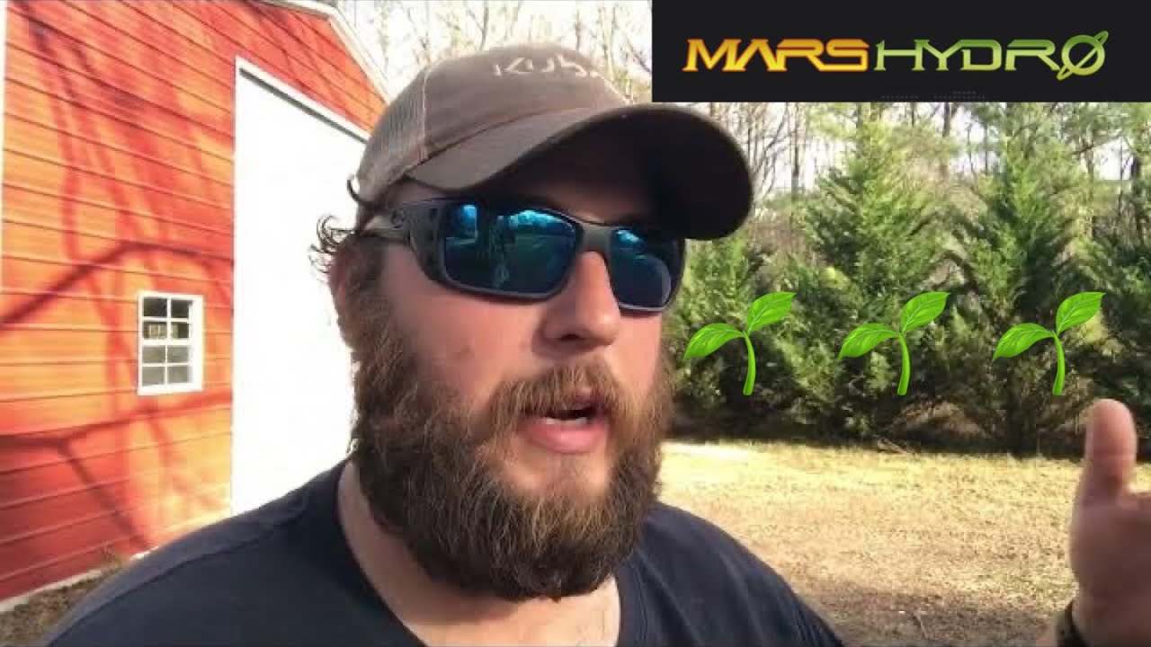 Know before you grow: When to take clones