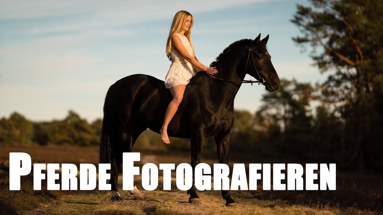 Pferde fotografieren mit Janina Kindt