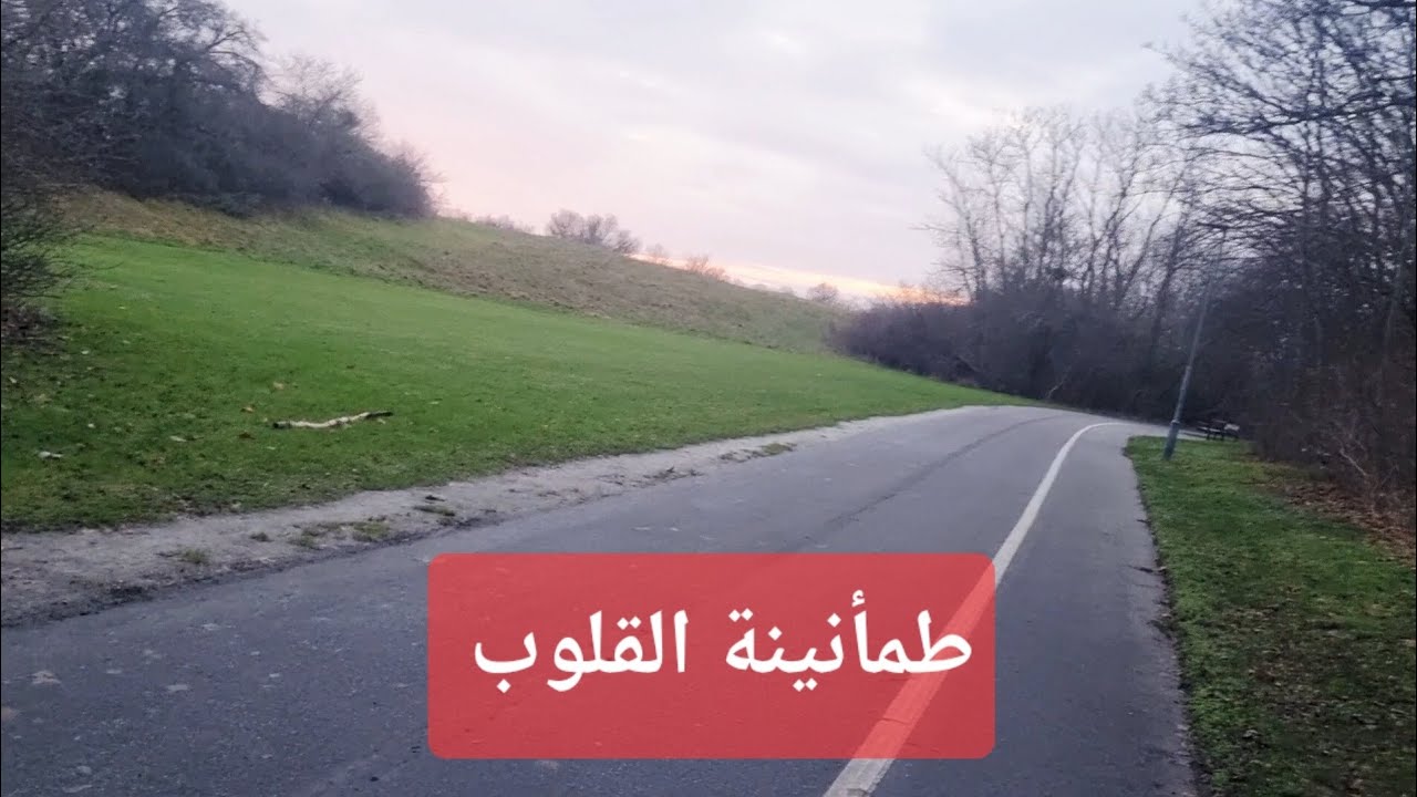 بين الأشجار وفي الطريق | بالذكر تطمئن القلوب 🌿