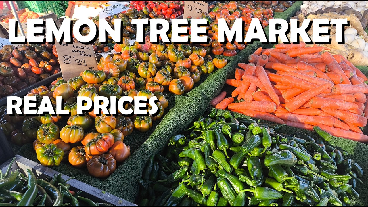 Lemon Tree Market Guardamar 🇪🇸 | One of the Best Markets on the Costa Blanca