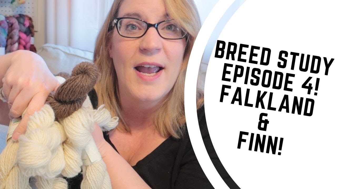 Breed Study Episode 4 - Sheep Breeds Falkland and Finnish (Finn) Spinning Yarn/Worsted Draft!