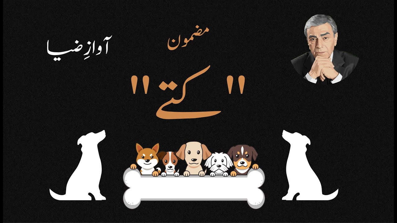 Kutte کتے (Dogs) — A Classic Patras Bokhari Essay | Zia Mohyeddin Style Narration | Awaz-e-Zia
