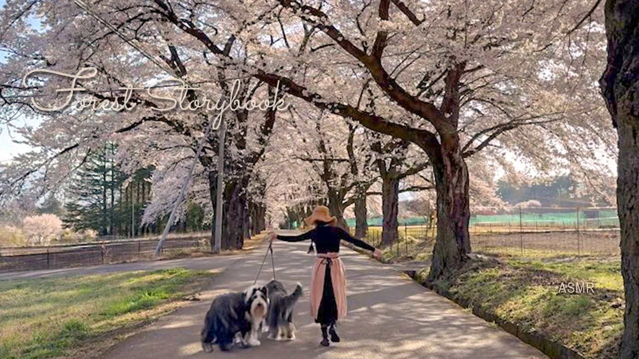 60代😌無理をしない森の暮らし🌳 最後のDIYと、自分を労わる春のルーティン。ムスカリを美しく描くコツ🎨ボタニカルアート🌿Vol.18 / Forest Life in Japan｜ASMR