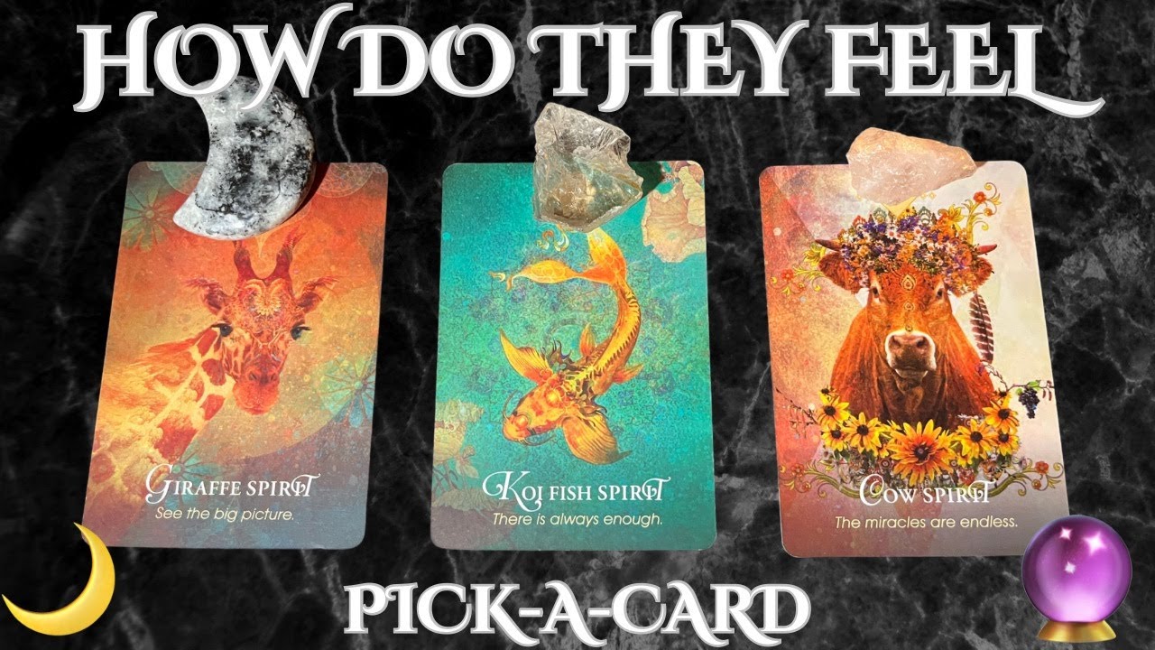 ❤️🔮How do they feel❤️PICK-A-CARD✨🌙TIMELESS❤️LOVE READING#tarot #pickacard