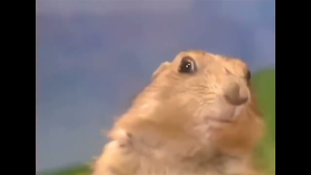 Cobaya terrorífica