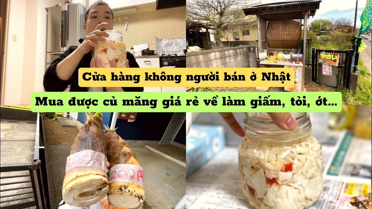 400 | Cửa Hàng Không Người Bán Ở Nhật - Mua Măng Giá Rẻ Về Làm Giấm Tỏi Ớt | Đức Thư Vlogs