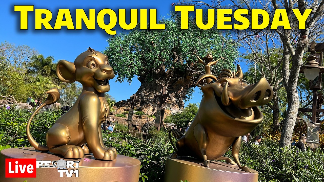 🔴Live: Tranquil Tuesday - A Good to Go Day at Animal Kingdom - Walt Disney World