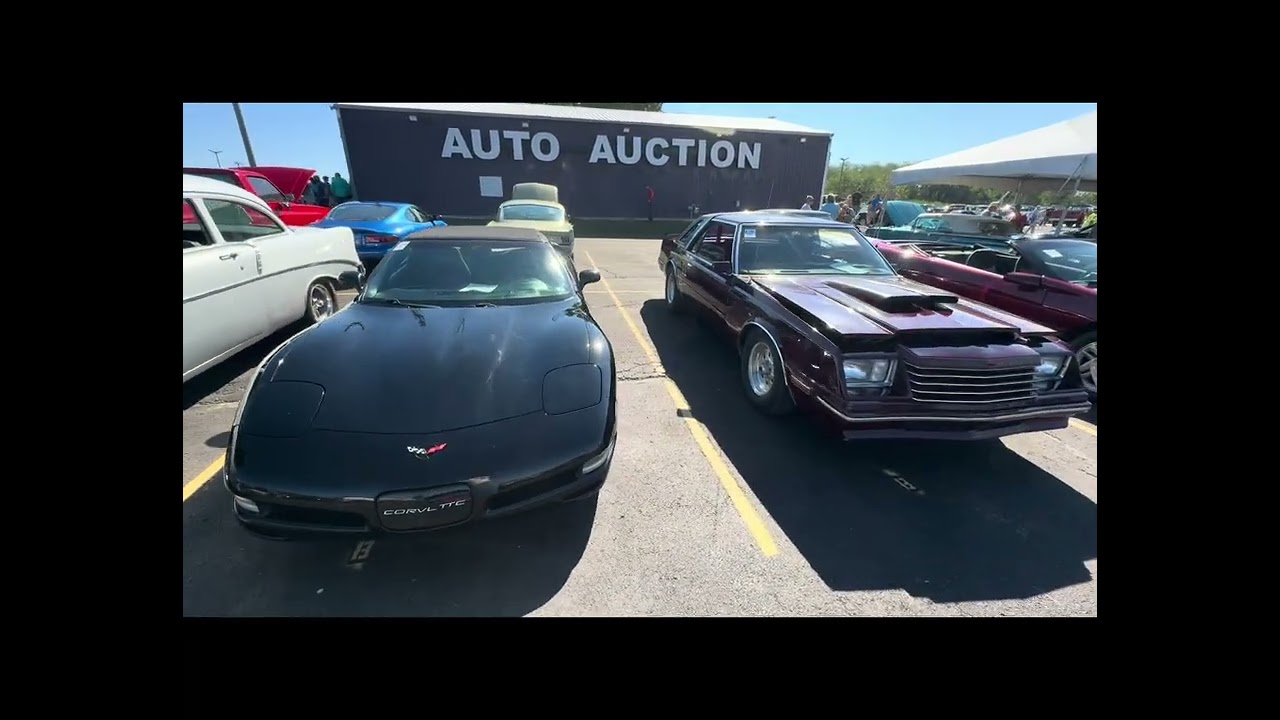 A day at the specialty vehicle auction. #43