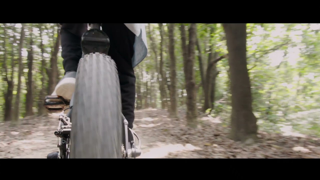 Coswheel T20 Electric Bike