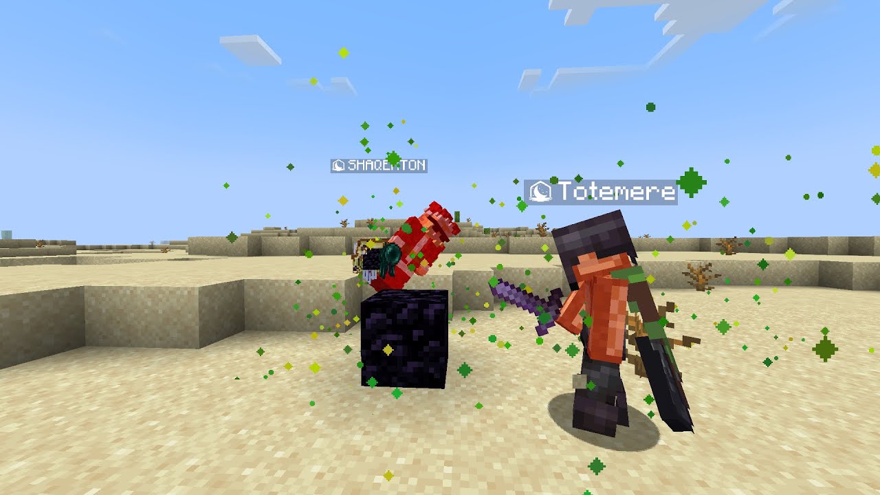 cool elytra kill